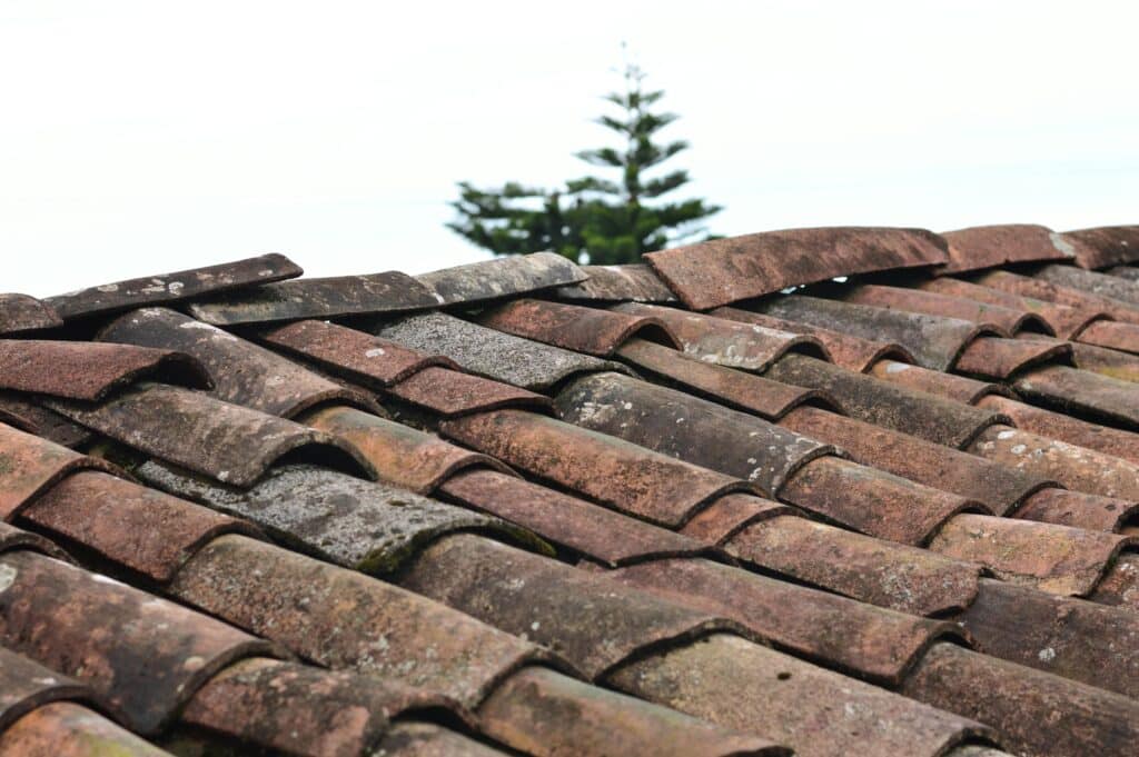 Tuiles anciennes patinées, mousse et lichen sur toit traditionnel A close-up view of rustic, weathered clay roof shingles under a clear sky in Puebla, Mexico.